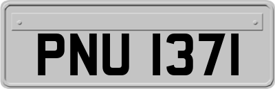PNU1371