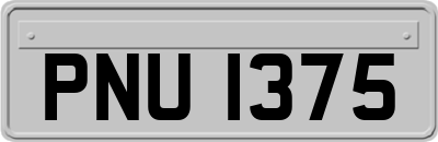 PNU1375