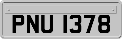PNU1378
