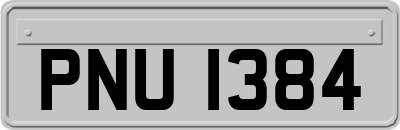 PNU1384