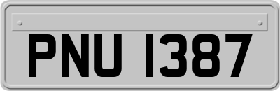 PNU1387