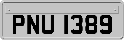 PNU1389