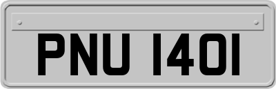 PNU1401