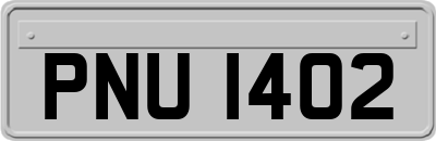 PNU1402