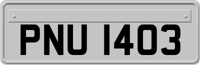 PNU1403
