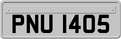 PNU1405