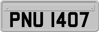 PNU1407