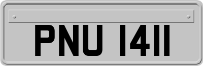 PNU1411