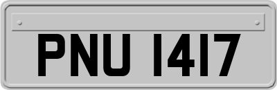 PNU1417