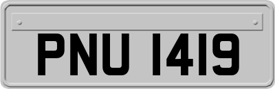 PNU1419