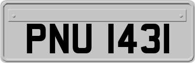PNU1431
