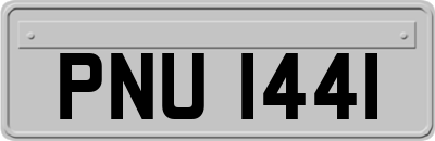 PNU1441