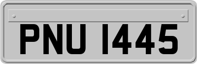 PNU1445
