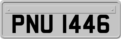 PNU1446