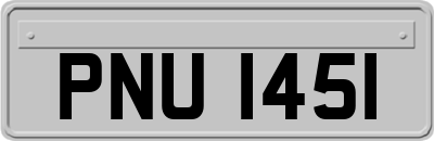 PNU1451