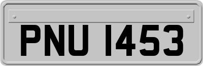 PNU1453