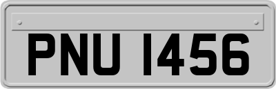 PNU1456