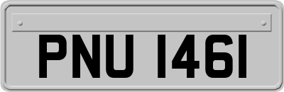 PNU1461