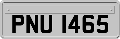 PNU1465