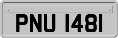PNU1481