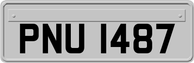 PNU1487