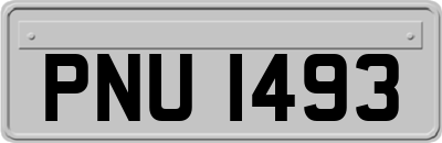 PNU1493