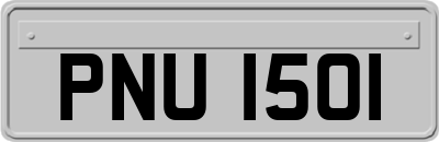 PNU1501