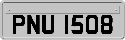 PNU1508