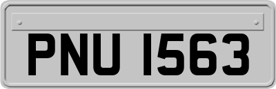 PNU1563