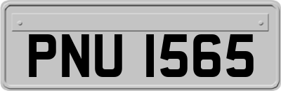 PNU1565