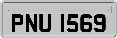 PNU1569