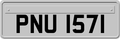 PNU1571