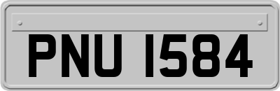 PNU1584