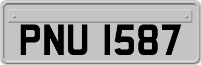 PNU1587