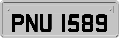 PNU1589