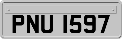 PNU1597
