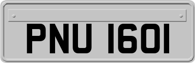 PNU1601