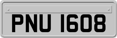 PNU1608