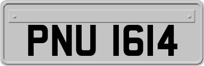 PNU1614
