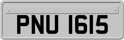 PNU1615