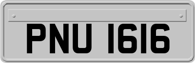 PNU1616