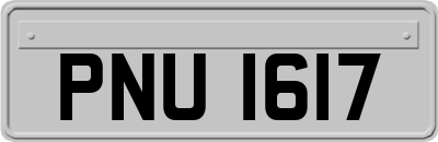 PNU1617