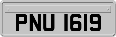 PNU1619