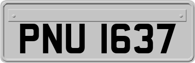 PNU1637