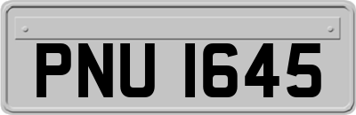 PNU1645