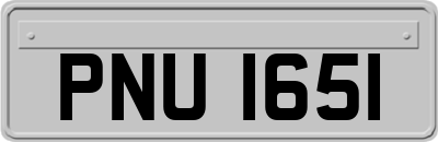 PNU1651