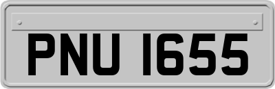 PNU1655