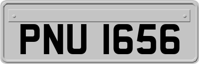 PNU1656