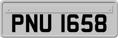 PNU1658