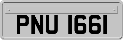 PNU1661